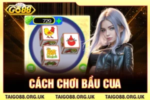 Cách chơi bầu cua