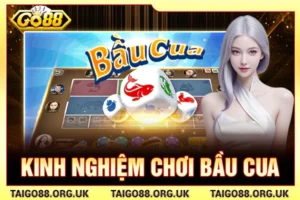 Kinh nghiệm chơi bầu cua