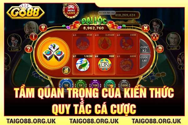 Quy tắc cá cược có tầm quan trọng như thế nào?